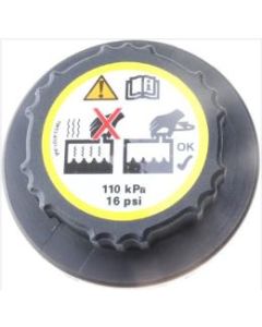 Plastic Cap | 6733429