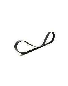 Belt | 7349400 7286548