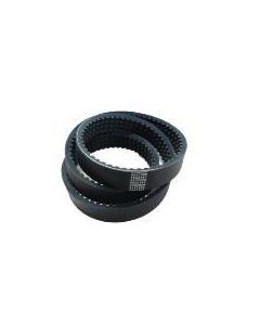 Belt | 6730819