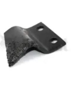 Trencher Tooth, Left, | 6634415