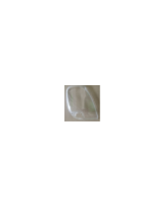 Head Lamp Lens Rh