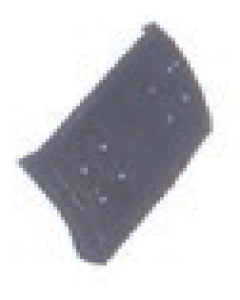 Rear Mudguard(front) | 8156551